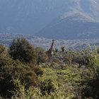 Explore the Outdoors