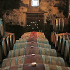 Cellar Tours