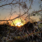 Sunset at the edge of the Karoo