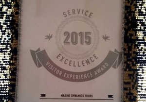 Lilizela Tourism Award Winner