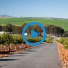 Botrivier - A Gateway to Adventure Botrivier - A Gateway to Adventure