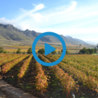 Villiersdorp - The Fruitful Valley of the Overberg