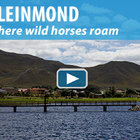 Kleinmond - Where Wild Horses Roam