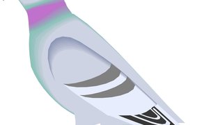 Gansbaai Posduifklub (1 Oct 2015)