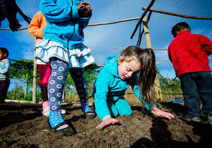 Flower Valley’s centre open for 2016 