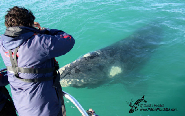 Get up close and personal