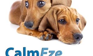 They need you to help them!