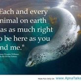 All of us have are equal. 