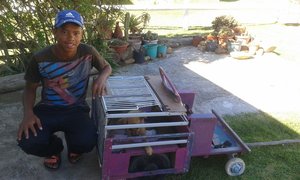 Aren't these to doggies lucky!!!