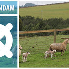 Swellendam - Home of Heritage and Natural Beauty