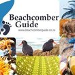 Beachcomber Guide