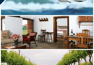 WIN A Stay at Africa's Southernmost Vineyard