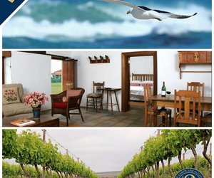 WIN A Stay at Africa's Southernmost Vineyard