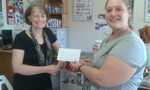 Congratulations - Have a heart fundraiser