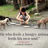 Some inspirational words. 