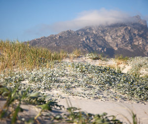 Discover the Great Outdoors of Pringle Bay & Rooi Els