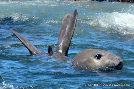 20160304_SF_Trip1_SF_IMG_00264