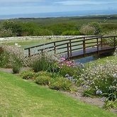 Garden at Bellavista