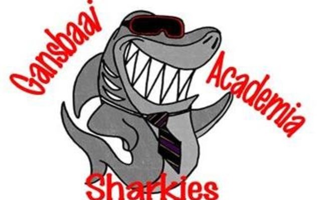 GansbaaiAcademiaSharkies_2