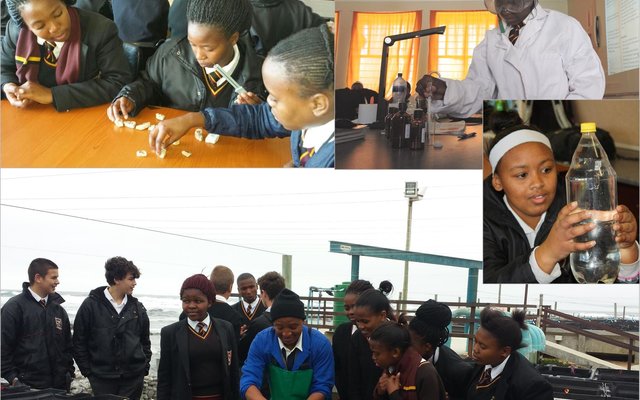 Die skool spog ook met ‘n Marine Science klub. In samewerking met die Two Ocean’s Aquarium word leerders geleer van die oseaan en die wonderlike seelewe. As alles goed verloop bied ons eersdaags Oseanografie en Maritieme Studies aan.