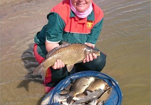 Sandri gekies vir SAVOF A-span