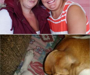 Jack Russell en Fisantkuiken