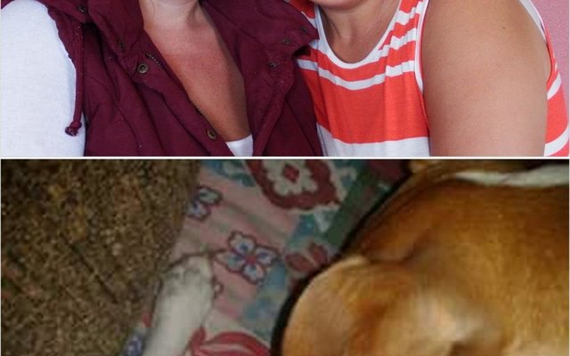 Vlnr is Stella Olivier en Elize van Deventer wat elk vir ‘n diere-verhaaltjie gesorg het