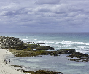 4 Hot Reasons to Visit De Hoop this Winter