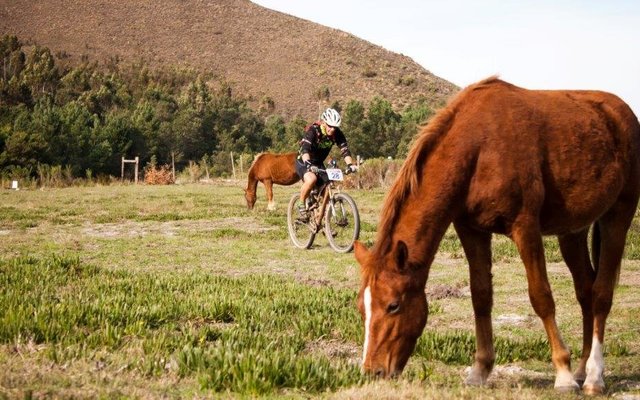 Greyton Classic (16-19 June 2016)