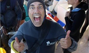 Northern Elephant Seal - Marine Evening