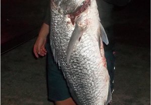 Frustrasie vir die hengelaar