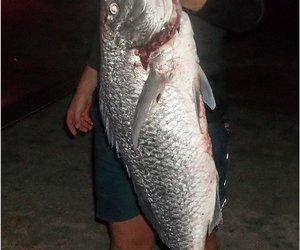 Frustrasie vir die hengelaar