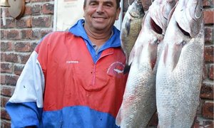 Pearly Beach hou lyne styf