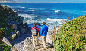 Top 10 Things To Do in Hermanus