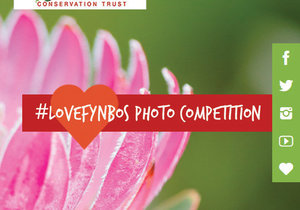 We’re celebrating Plant Appreciation Day - and you can WIN