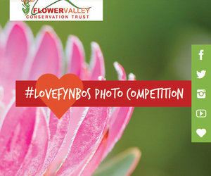 We’re celebrating Plant Appreciation Day - and you can WIN