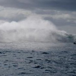 Gansbaai_Supreme_Court_Ruling_5_Tallman_1