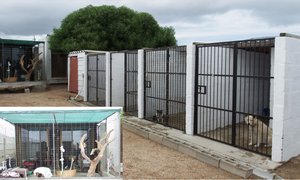 BARC se Gholfdankies