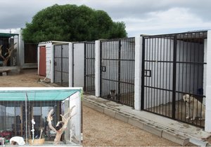 BARC se Gholfdankies