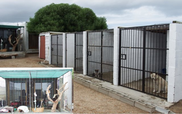 Gansbaai_BARC_se_Gholfdankies_1