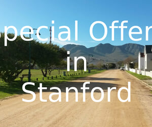 Special Offers in Stanford
