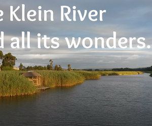 The Klein River and all its wonders