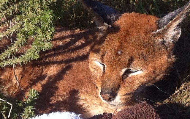 A brave lady....who changed my life forever A brave lady....who changed my life forever