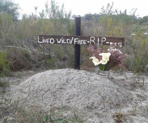 The Story behind Overberg WildnFree