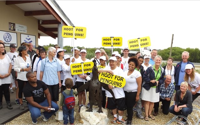 Gansbaai_Waggel_Waggel_Pikkewyne_5