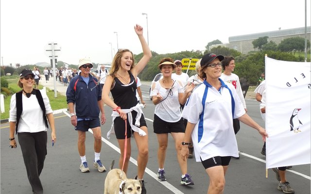 Gansbaai_Waggel_Waggel_Pikkewyne_7