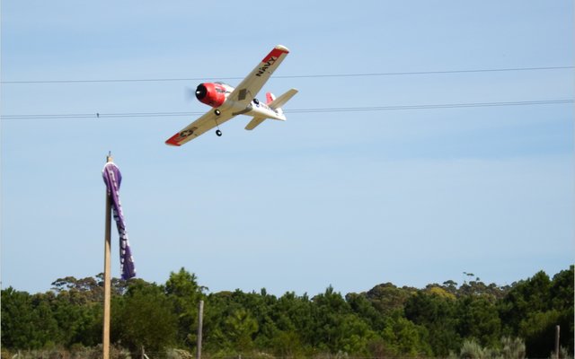 Gansbaai_Shark_Coast_Radio_Flyers_5