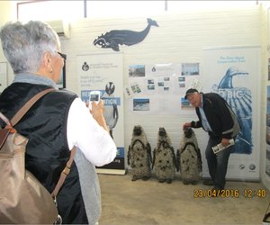 Gewilde Toerismekantoor