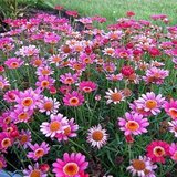 10276003_768469146615410_8882386989770826302_n