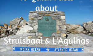 10 Quick Facts about L’Agulhas and Struisbaai
